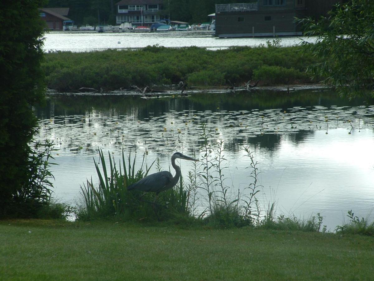 Wildwood On The Lake Lake Placid Zewnętrze zdjęcie